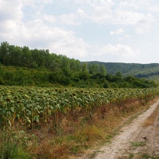 Départ pour Varna, traversée du pays jusqu'à Kranevo