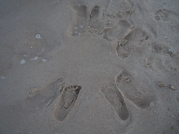 Nos traces! ;-)