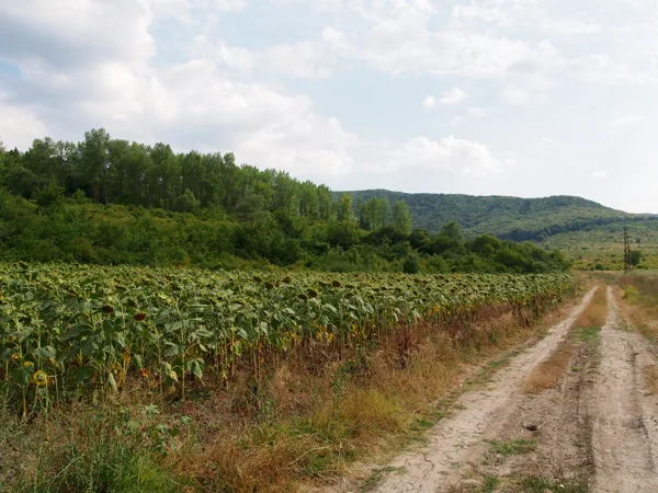 Départ pour Varna, traversée du pays jusqu'à Kranevo